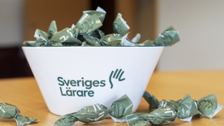 Profilartikel - Skål, Sveriges Lärare